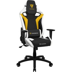 ThunderX3 – Fauteuil Gamer Ergonomique & Stylé