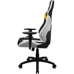 ThunderX3 – Fauteuil Gamer Ergonomique & Stylé