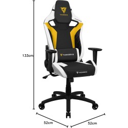 ThunderX3 – Fauteuil Gamer Ergonomique & Stylé